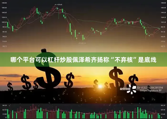 哪个平台可以杠杆炒股佩泽希齐扬称“不弃核”是底线