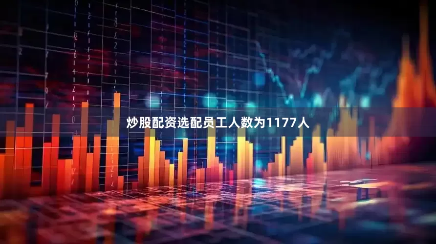 炒股配资选配员工人数为1177人