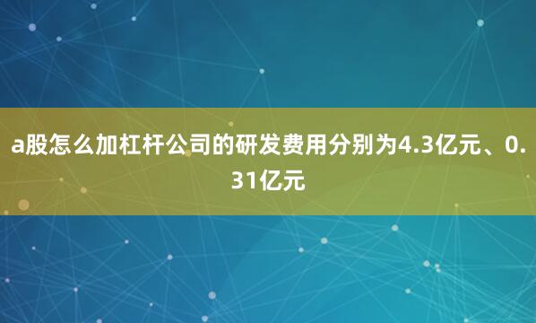 a股怎么加杠杆公司的研发费用分别为4.3亿元、0.31亿元