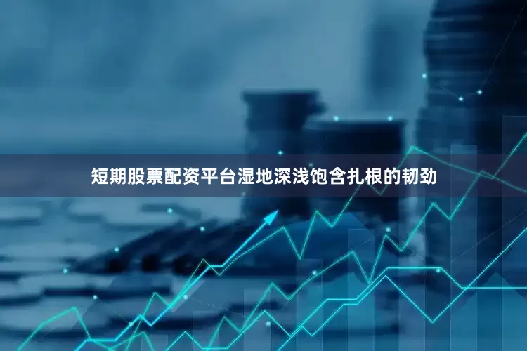短期股票配资平台湿地深浅饱含扎根的韧劲